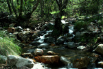 photo thumbnail #11