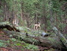 photo thumbnail #3