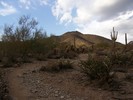 photo thumbnail #8