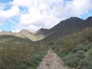 photo thumbnail #4