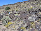 photo thumbnail #13