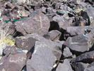 photo thumbnail #15