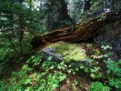 photo thumbnail #15