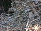 photo thumbnail #13