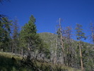 photo thumbnail #14