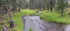 photo thumbnail #4