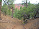photo thumbnail #1