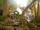 photo thumbnail #9