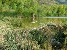 photo thumbnail #15