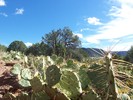 photo thumbnail #8