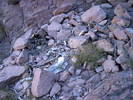 photo thumbnail #13