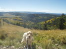 photo thumbnail #2