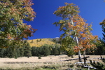 photo thumbnail #15
