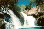 photo thumbnail #1