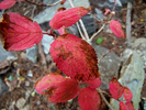 photo thumbnail #10