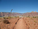 photo thumbnail #12