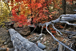 photo thumbnail #9