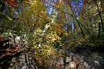 photo thumbnail #12