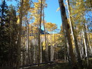 photo thumbnail #6