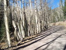 photo thumbnail #8