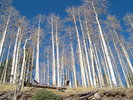 photo thumbnail #9