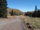photo thumbnail #14