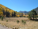 photo thumbnail #15