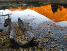 photo thumbnail #1