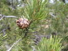 photo thumbnail #9