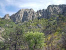 photo thumbnail #7