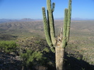 photo thumbnail #2