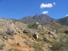 photo thumbnail #11