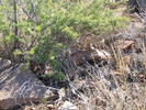 photo thumbnail #12