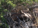 photo thumbnail #14