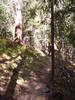 photo thumbnail #12