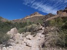 photo thumbnail #3