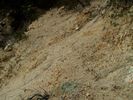 photo thumbnail #14