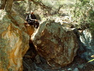 photo thumbnail #4