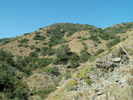 photo thumbnail #7
