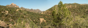 photo thumbnail #10