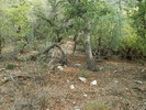 photo thumbnail #12