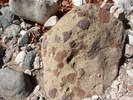 photo thumbnail #14