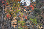 photo thumbnail #10