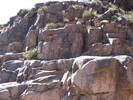 photo thumbnail #2