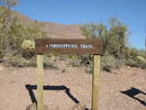 photo thumbnail #10