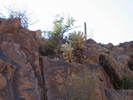 photo thumbnail #12