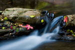 photo thumbnail #6
