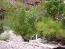 photo thumbnail #11
