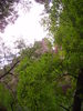 photo thumbnail #14