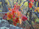photo thumbnail #13